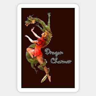 Dragon Charmer Magnet